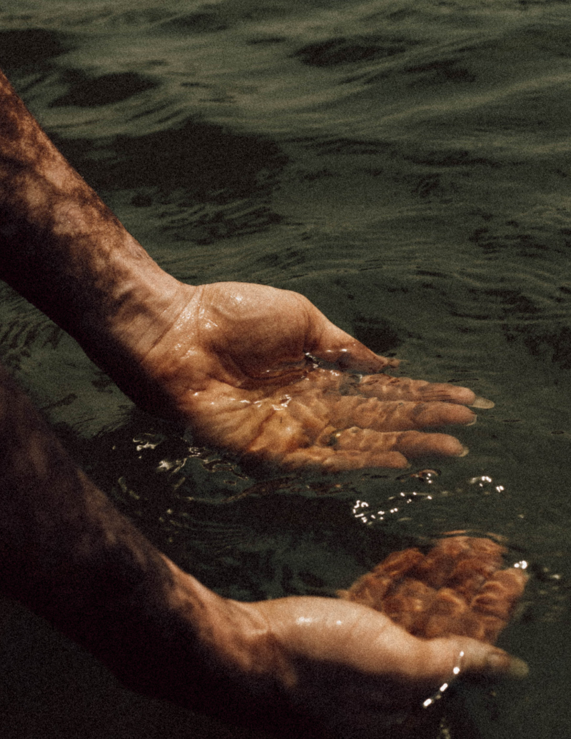 Untitled design (54)